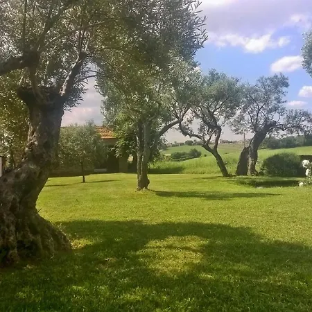 Casale Nicole Mare E Campagna Σπίτι διακοπών Montemarciano