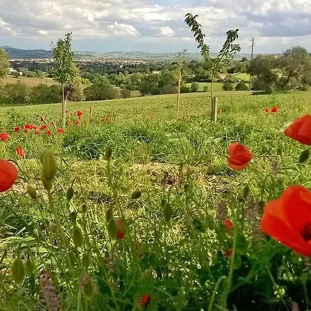 Casale Nicole Mare E Campagna Σπίτι διακοπών Montemarciano
