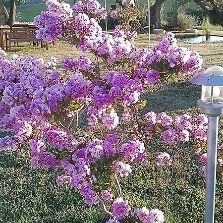 Casale Nicole Mare E Campagna Σπίτι διακοπών