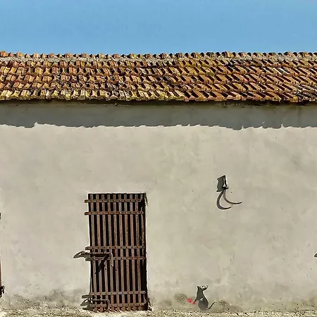 Σπίτι διακοπών Casale Nicole Mare E Campagna